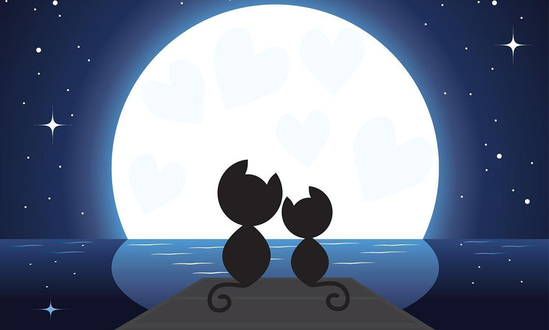 北海潮客汇微信活动策划案例